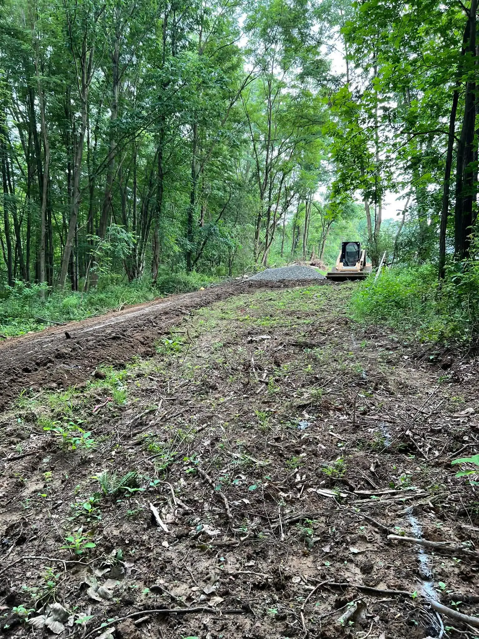 Skid steer clearing a wooded path through Western PA forest by Poole Dirt Work
